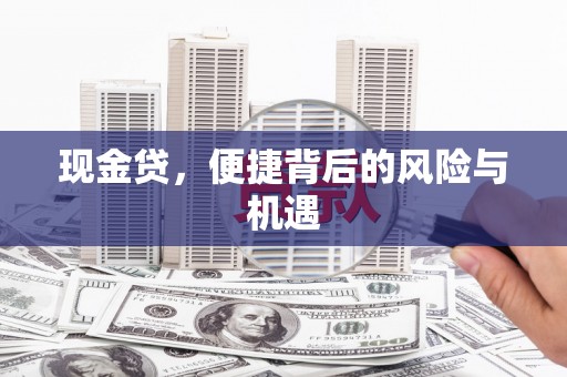 万宁现金贷，便捷背后的风险与机遇