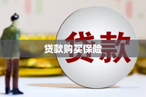 万宁贷款购买保险