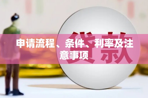 万宁申请流程、条件、利率及注意事项