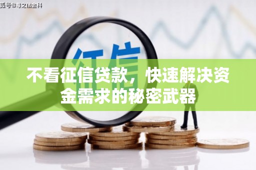 万宁不看征信贷款，快速解决资金需求的秘密武器