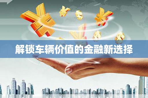 万宁解锁车辆价值的金融新选择