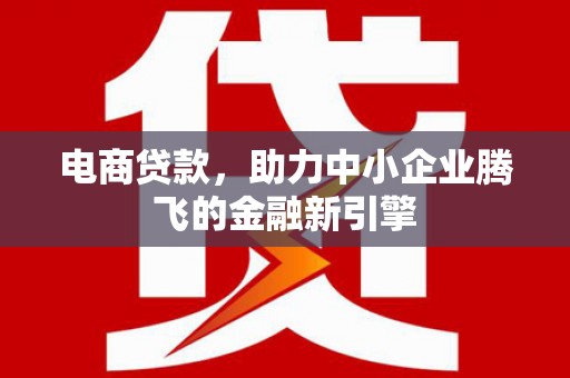万宁电商贷款，助力中小企业腾飞的金融新引擎