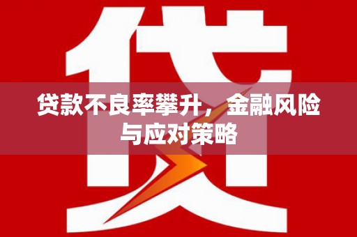 万宁贷款不良率攀升，金融风险与应对策略