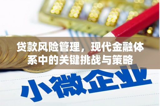 万宁贷款风险管理，现代金融体系中的关键挑战与策略