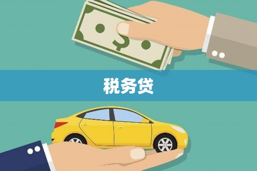 万宁税务贷