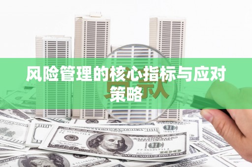 万宁风险管理的核心指标与应对策略