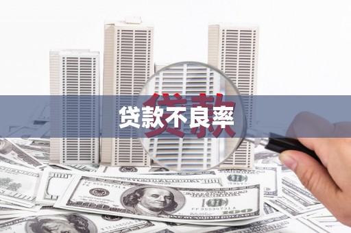 万宁贷款不良率