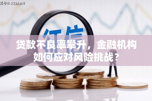 万宁贷款不良率攀升，金融机构如何应对风险挑战？