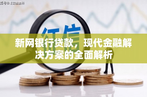 万宁新网银行贷款，现代金融解决方案的全面解析