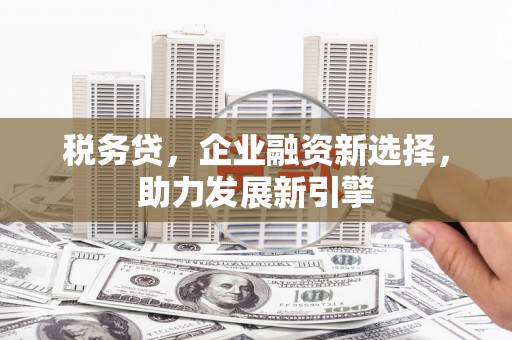 万宁税务贷，企业融资新选择，助力发展新引擎