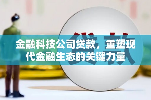 万宁金融科技公司贷款，重塑现代金融生态的关键力量