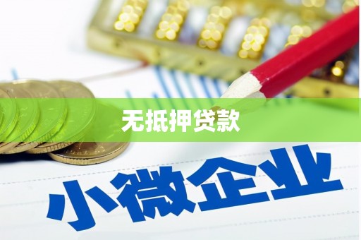 万宁无抵押贷款