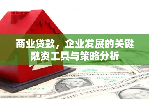 万宁商业贷款，企业发展的关键融资工具与策略分析