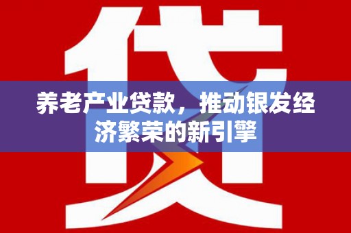 万宁养老产业贷款，推动银发经济繁荣的新引擎