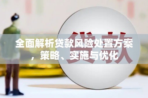 万宁全面解析贷款风险处置方案，策略、实施与优化