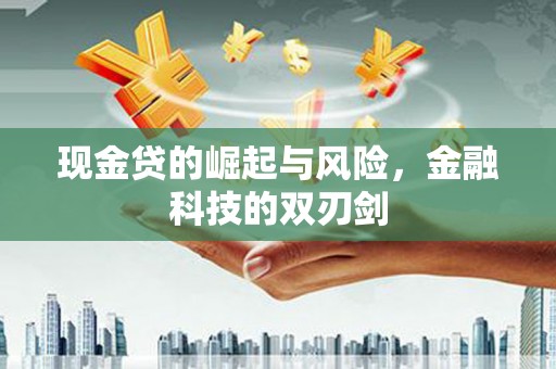 万宁现金贷的崛起与风险，金融科技的双刃剑