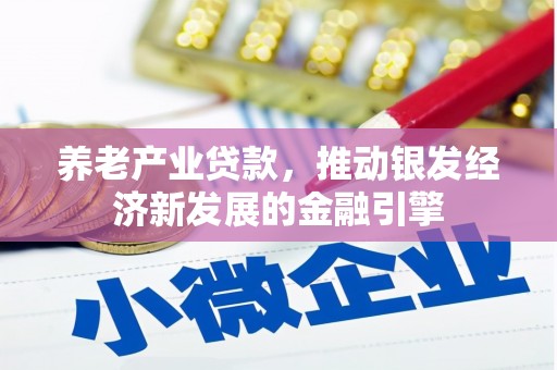 万宁养老产业贷款，推动银发经济新发展的金融引擎