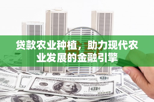 万宁贷款农业种植，助力现代农业发展的金融引擎