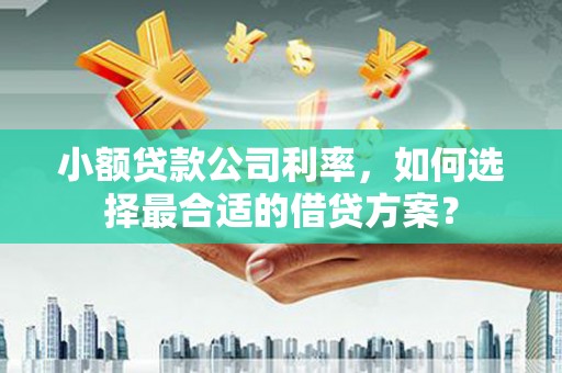 万宁小额贷款公司利率，如何选择最合适的借贷方案？