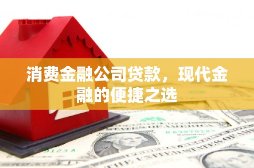 万宁消费金融公司贷款，现代金融的便捷之选