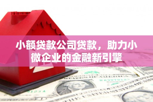 万宁小额贷款公司贷款，助力小微企业的金融新引擎