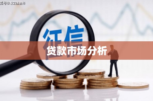 万宁贷款市场分析
