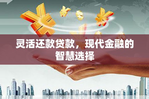 万宁灵活还款贷款，现代金融的智慧选择