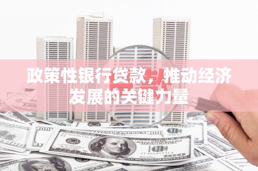 万宁政策性银行贷款，推动经济发展的关键力量