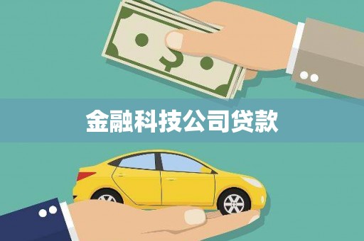 万宁金融科技公司贷款