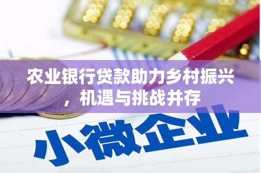 万宁农业银行贷款助力乡村振兴，机遇与挑战并存