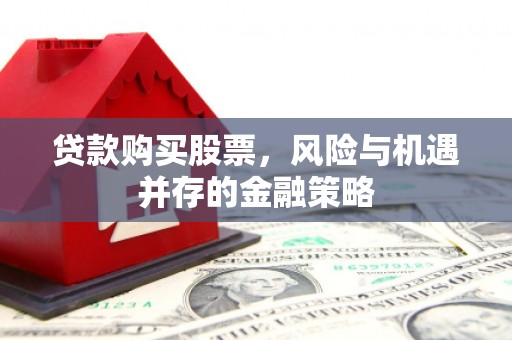 万宁贷款购买股票，风险与机遇并存的金融策略