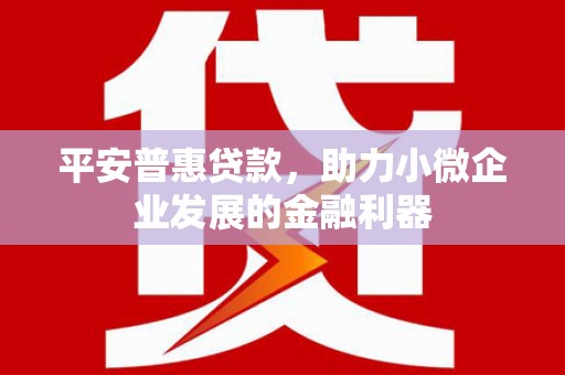 万宁平安普惠贷款，助力小微企业发展的金融利器