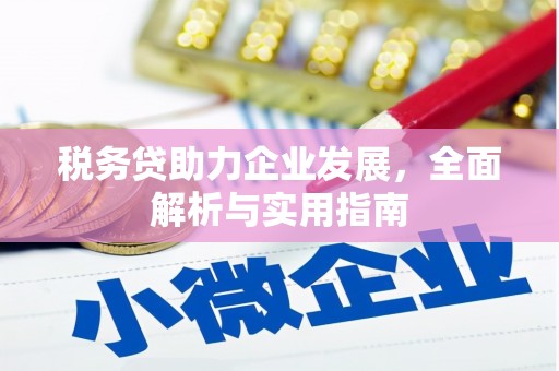 万宁税务贷助力企业发展，全面解析与实用指南