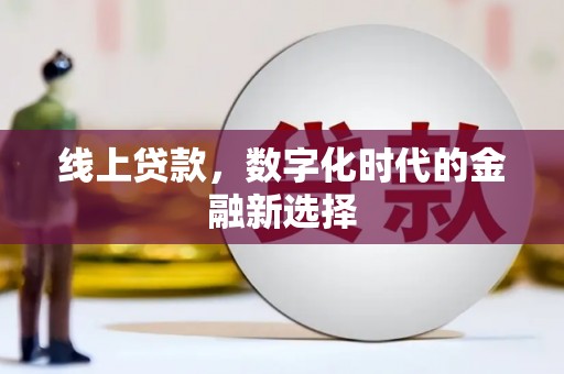 万宁线上贷款，数字化时代的金融新选择