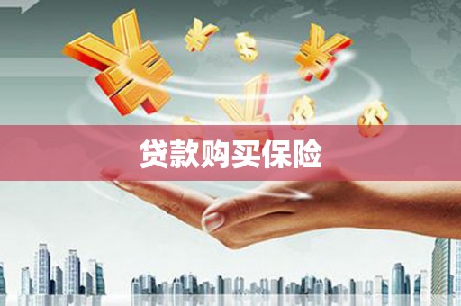 万宁贷款购买保险