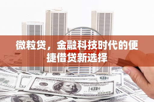 万宁微粒贷，金融科技时代的便捷借贷新选择