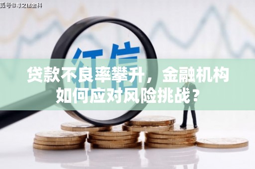 万宁贷款不良率攀升，金融机构如何应对风险挑战？
