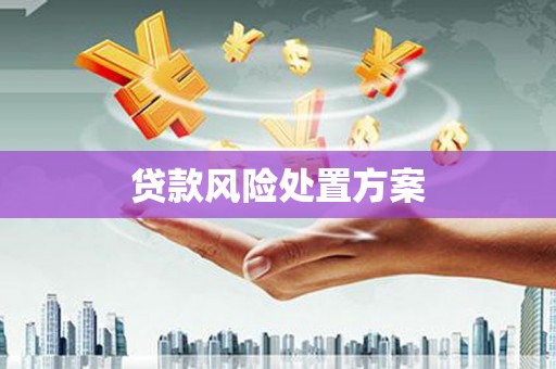 万宁贷款风险处置方案