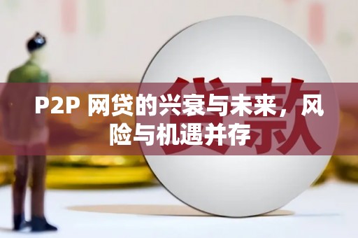 万宁P2P 网贷的兴衰与未来，风险与机遇并存