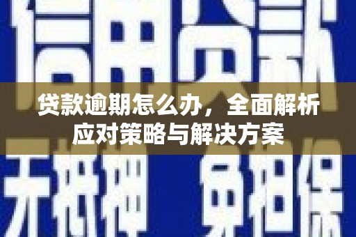 万宁贷款逾期怎么办，全面解析应对策略与解决方案